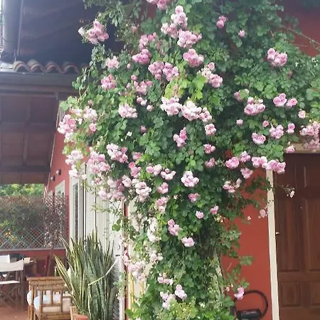 Alba Sul Lago B&B Stresa Extérieur photo