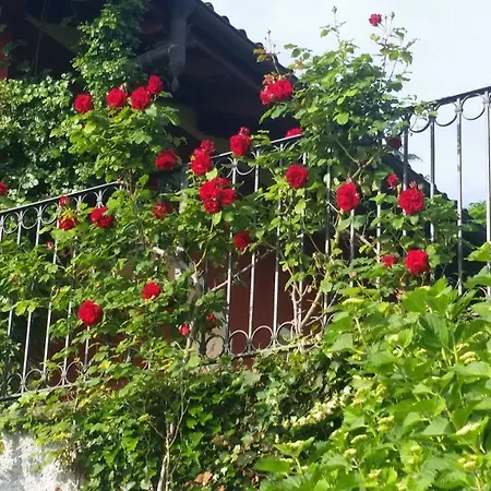 Alba Sul Lago B&B Stresa Extérieur photo